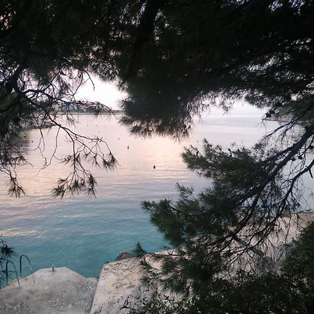 Apartment Lavanda Nova Ražanj Εξωτερικό φωτογραφία