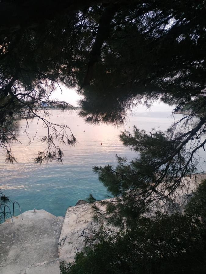 Apartment Lavanda Nova Ražanj Εξωτερικό φωτογραφία