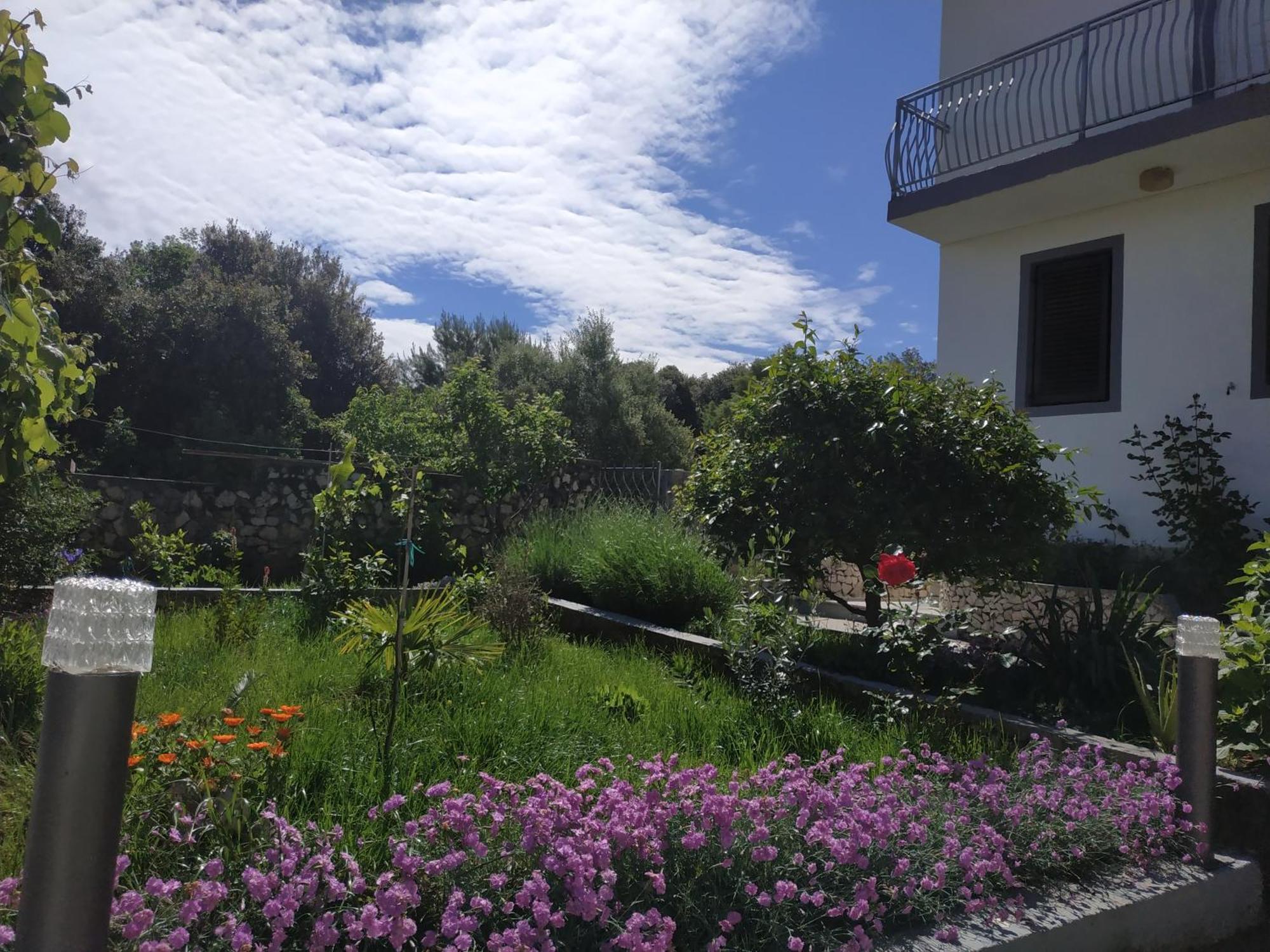 Apartment Lavanda Nova Ražanj Εξωτερικό φωτογραφία