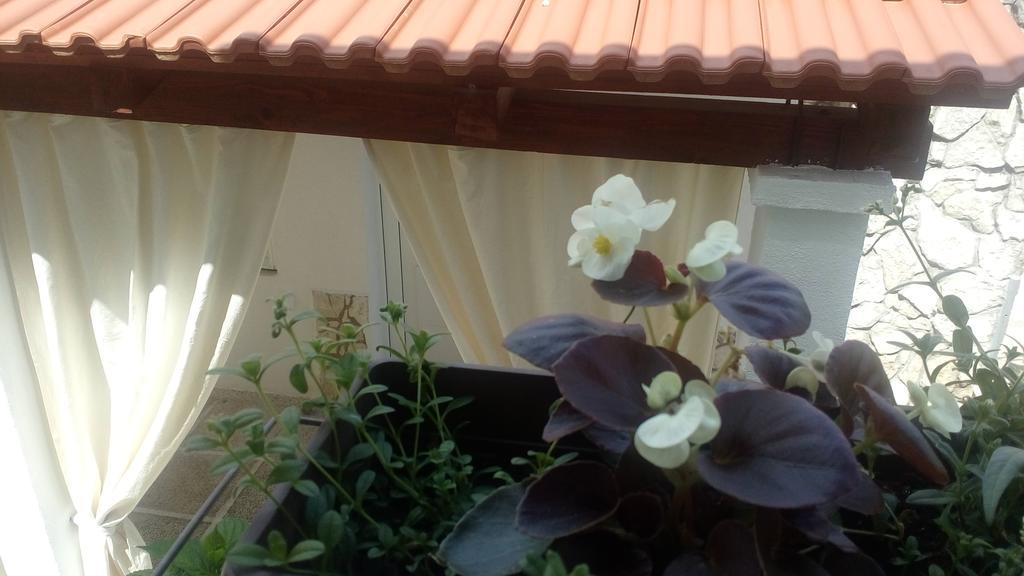 Apartment Lavanda Nova Ražanj Εξωτερικό φωτογραφία