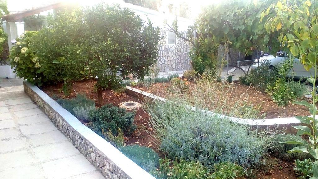 Apartment Lavanda Nova Ražanj Εξωτερικό φωτογραφία