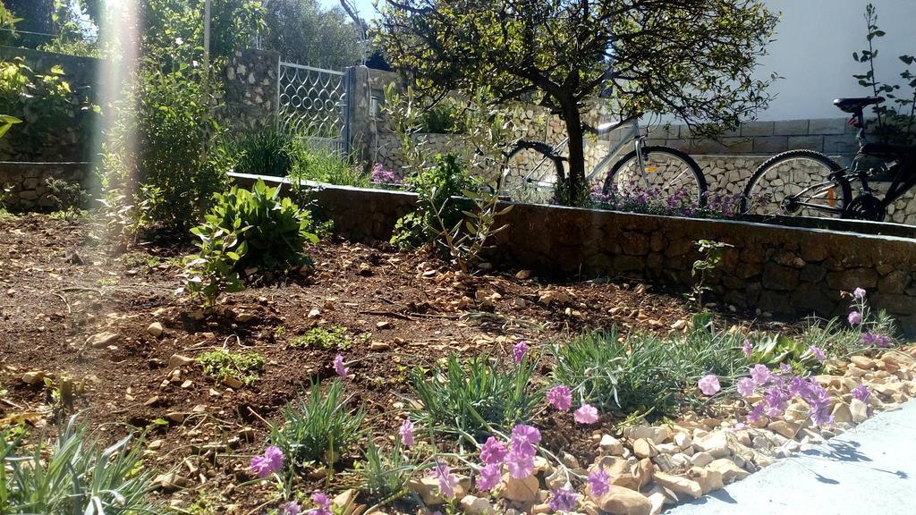 Apartment Lavanda Nova Ražanj Εξωτερικό φωτογραφία