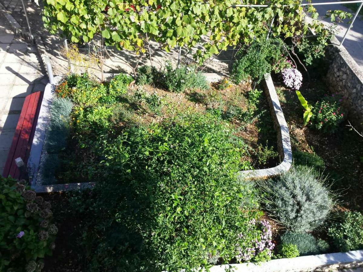 Apartment Lavanda Nova Ražanj Εξωτερικό φωτογραφία