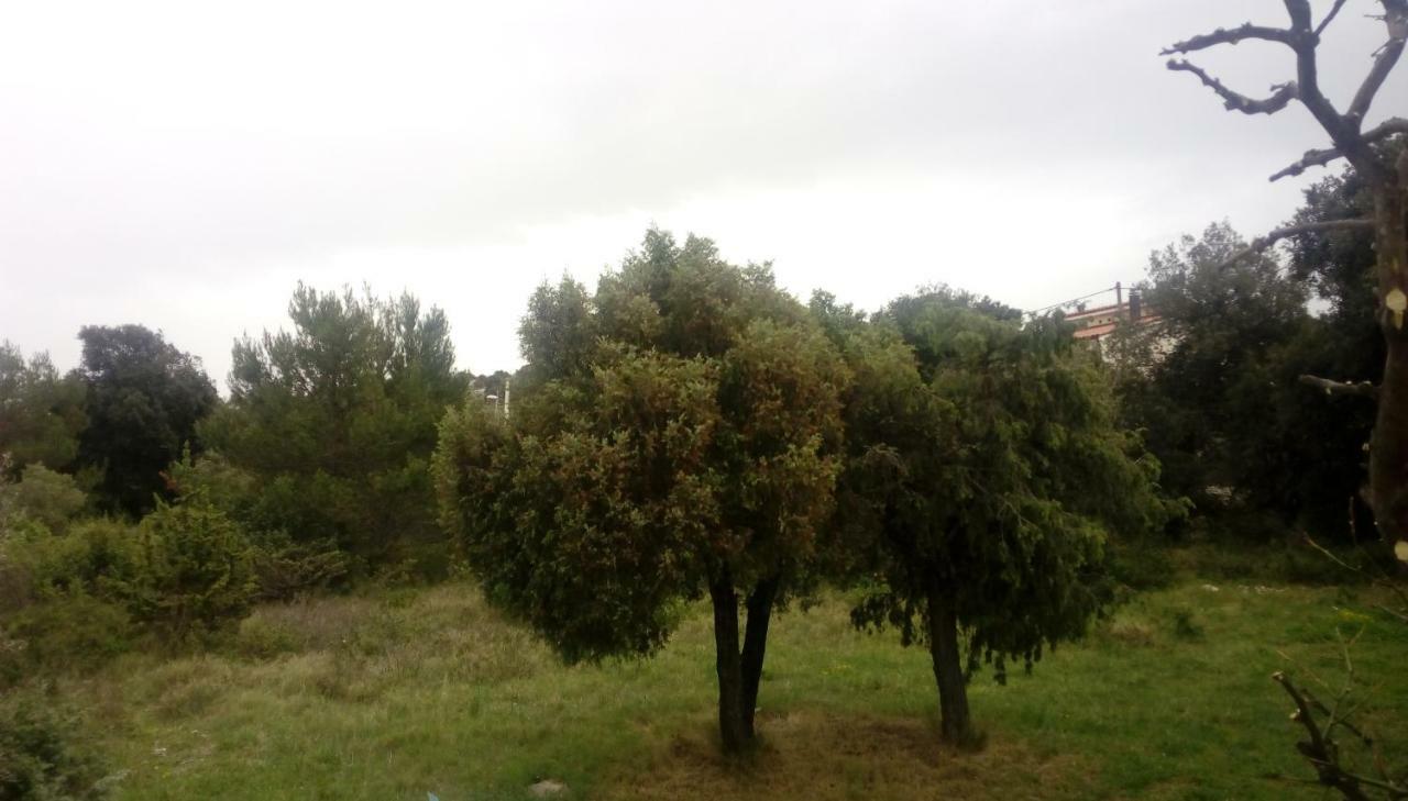 Apartment Lavanda Nova Ražanj Εξωτερικό φωτογραφία