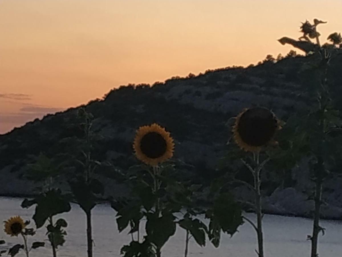 Apartment Lavanda Nova Ražanj Εξωτερικό φωτογραφία